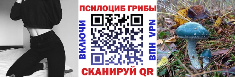 Псилоцибиновые грибы MAGIC MUSHROOMS как найти блэк спрут ссылка Старый Оскол